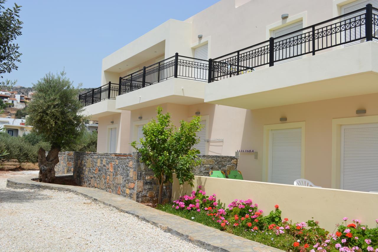 Olive Grove 4*